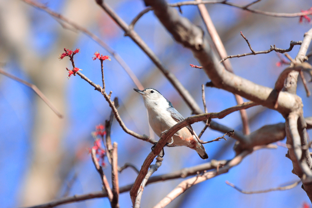 Supreme Duct Cleaning Nottingham's Finest Duct Cleaning